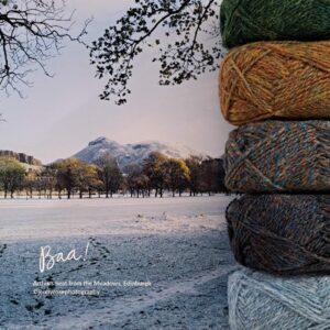 Arthurs Seat from the Meadows, Edinburgh-baa-7