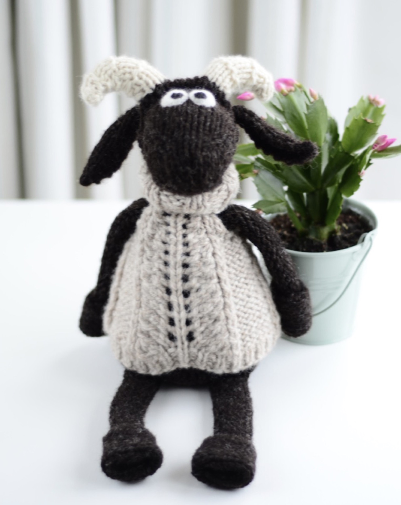 wee-blackface-sheep-dolly-baa-1